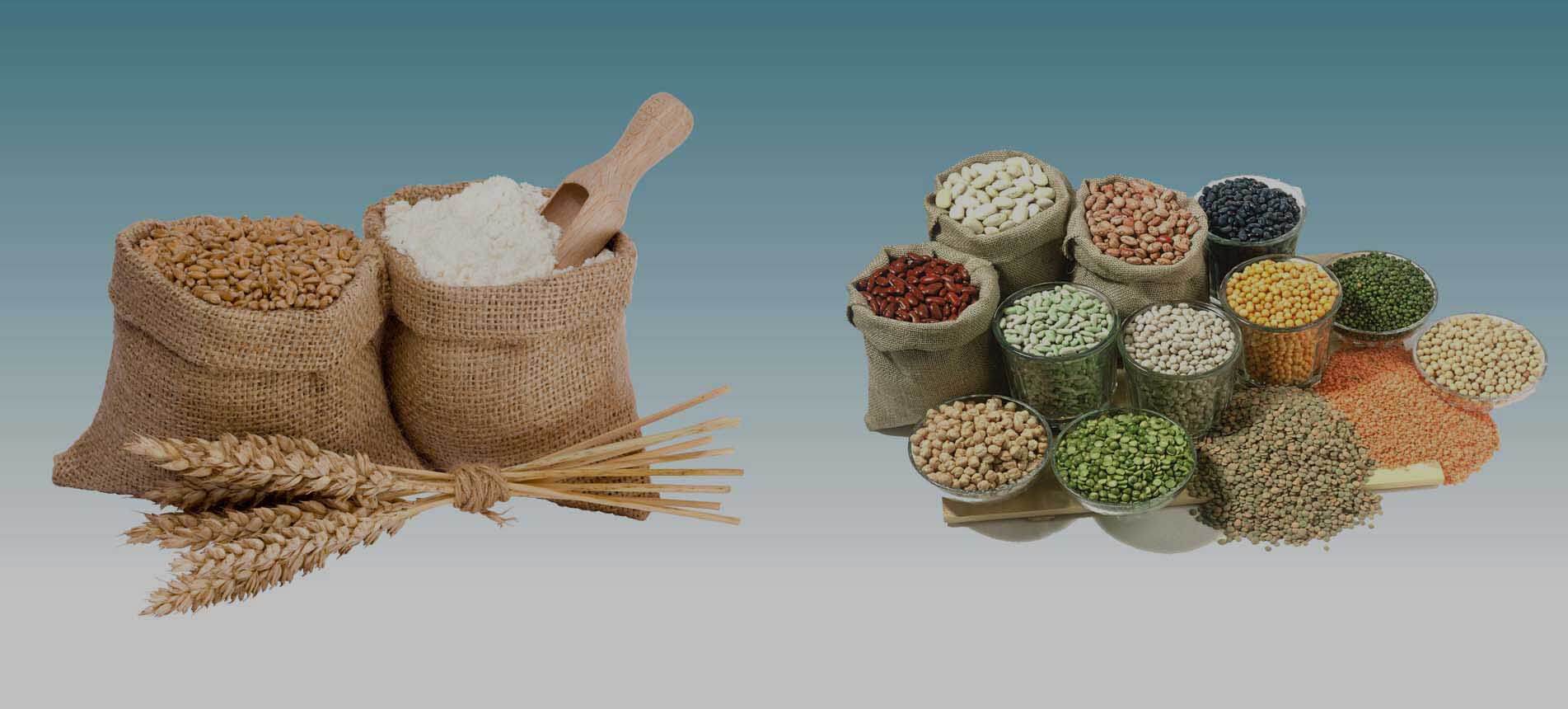 Exporters of Grocery & Pulses 