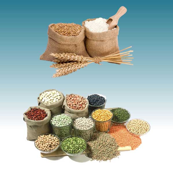  Exporters of Grocery & Pulses 